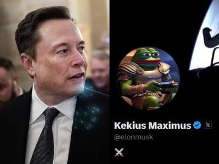 Elon Musk e il suo nuovo profilo X - Fotogramma e X