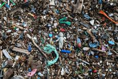 Microplastiche e problemi di salute, la conferma scientifica