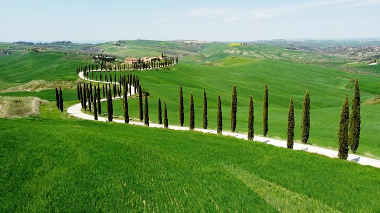 La campagna toscana - Fotogramma