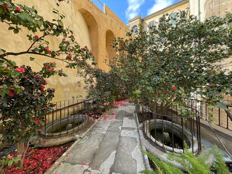 A Boboli apre alle visite il giardino 'segreto' delle camelie