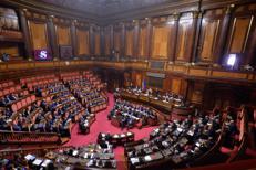 Il Senato della Repubblica - (Fotogramma)