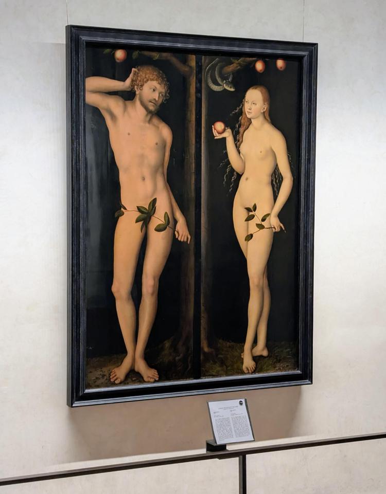 Agli Uffizi una sola cornice i capolavori di Cranach Adamo ed Eva