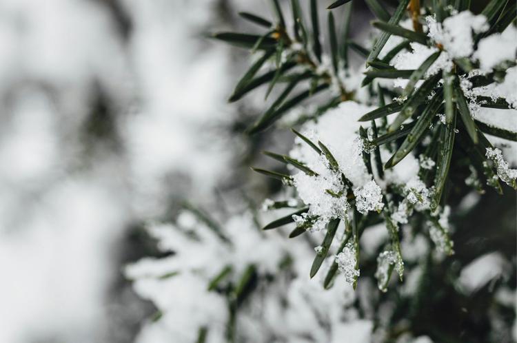 Colpo di coda dell'inverno sull'Italia - (Fotogramma/IPa)