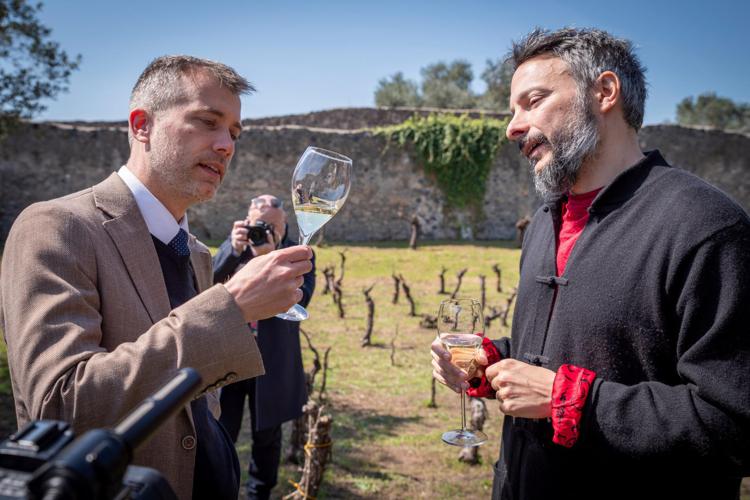 Arriva l'archeo-vino, tra i ruderi di Pompei alleanza tra viticoltura e storia