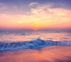 Spiaggia (Foto )
