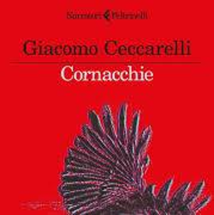 L'ansia della libertà in 'Cornacchie', esordio di Giacomo Ceccarelli