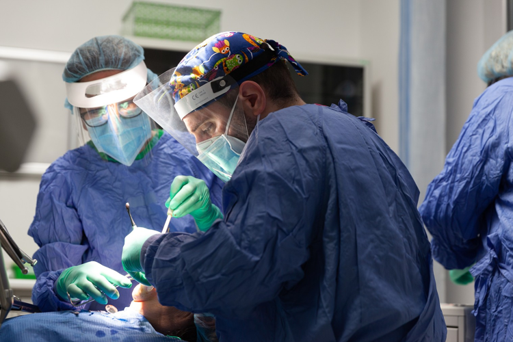 Zenadent: oltre trent’anni di innovazione e professionalità nell’odontoiatria e implantologia a Genova