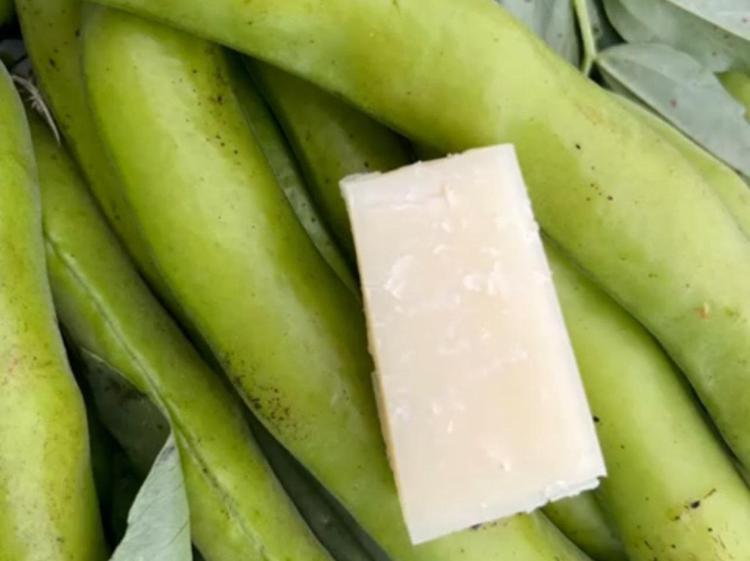 Fave e pecorino - Adnkronos