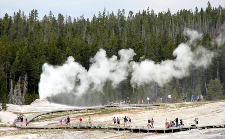 Yellowstone (Ipa)