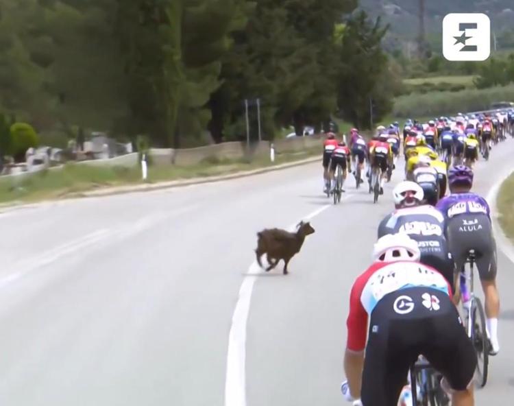  - Credits: frame Eurosport