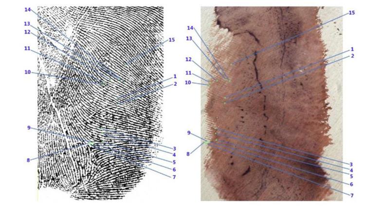 Il confronto e i punti corrispondenti tra l'impronta di Sempio e quella trovata sul muro della villetta di Garlasco, teatro dell'omicidio di Chiara Poggi