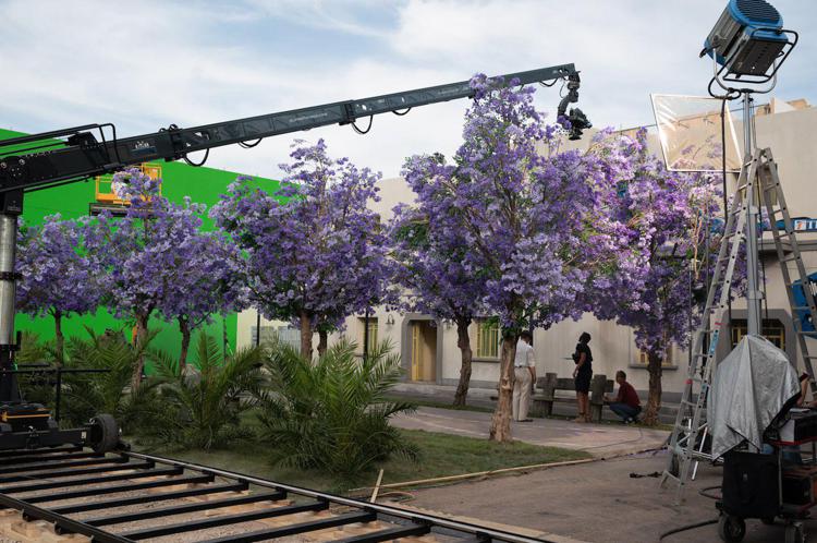 “La giungla seminaturale firmata Ila conquista Cinecittà”