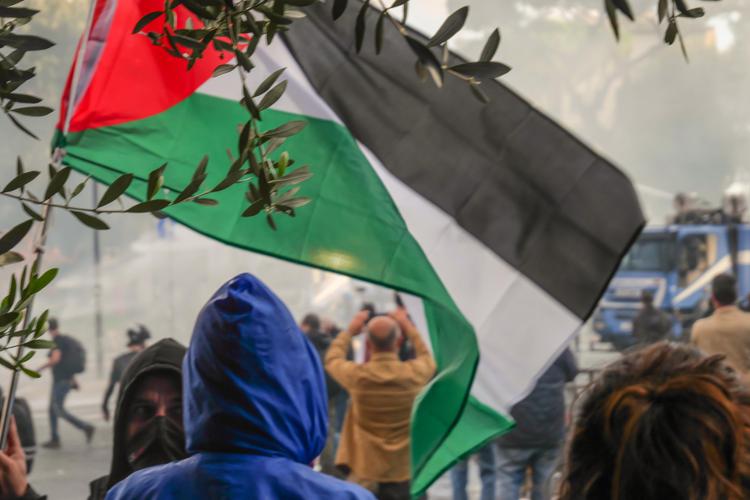 Bandiera palestinese - Fotogramma