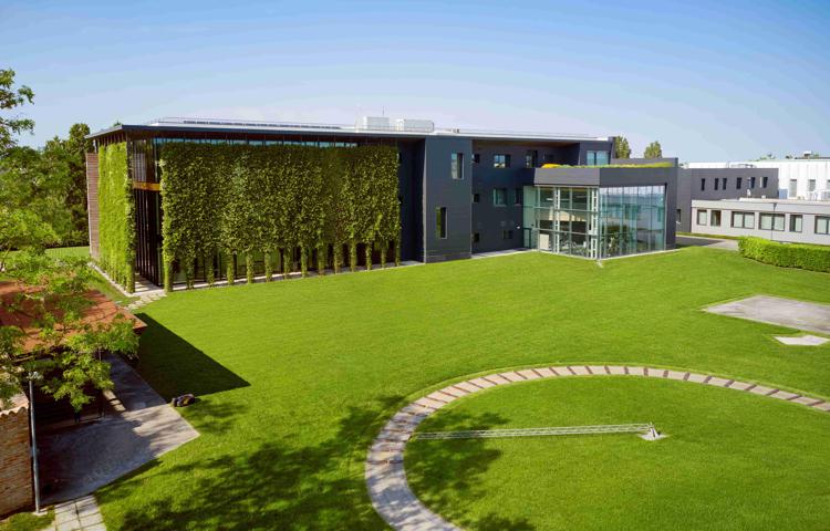 Il giardinaggio nell'era digitale: una passione europea resa accessibile dalla tecnologia
