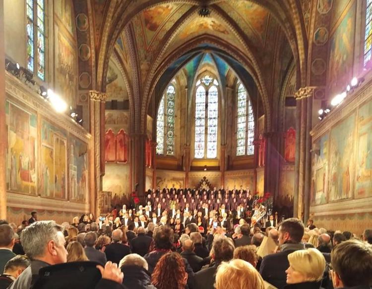 800 anni del Cantico delle creature, Edoardo Torricella lo recita a Roma