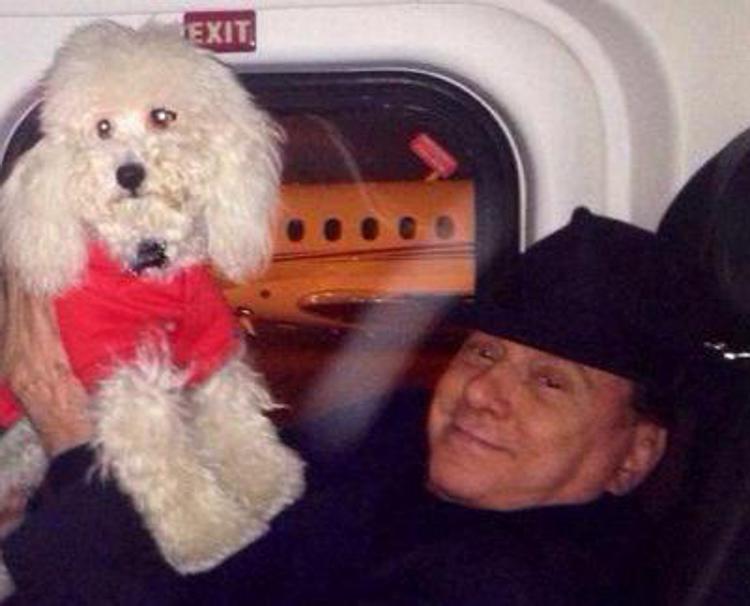 Silvio Berlusconi e il barboncino Dudù in una foto pubblicata dal Cav sui social nel 2014