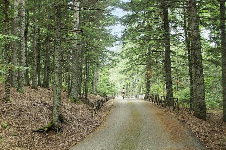Ciclovia Meridiana in Basilicata
