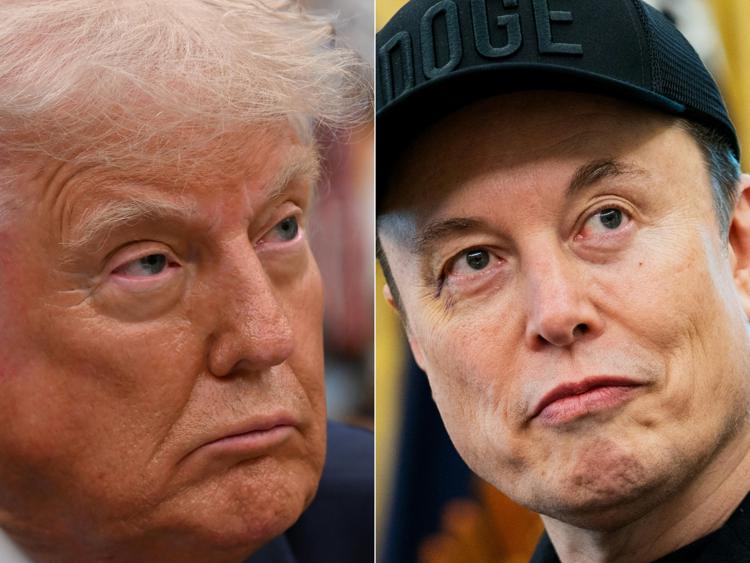 Donald Trump ed Elon Musk - Afp