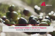 Made in Italy, crescita record export olio evo in Giappone