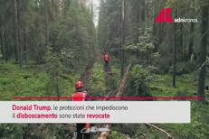 Usa, Trump toglie protezioni a un terzo dei boschi