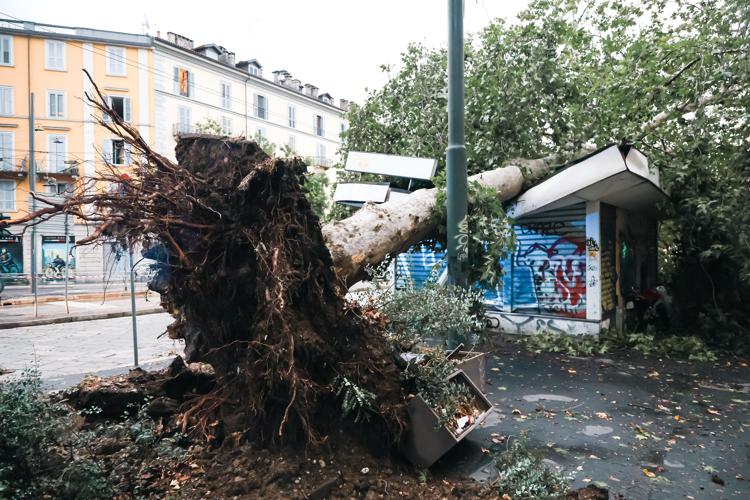 I danni del maltempo dopo la tempesta che si è abbattuta su Milano - Ipa