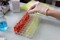 Donazione sangue - Ipa