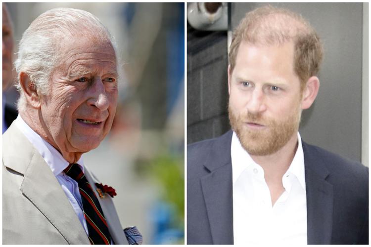Re Carlo e il principe Harry - Ipa