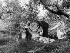 Calenzano, la scena di uno degli omicidi del Mostro di Firenze - Fotogramma /Ipa
