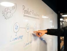 Startup, L’esperto: