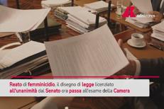 Femminicidio, da Senato sì all'unanimità a disegno di legge