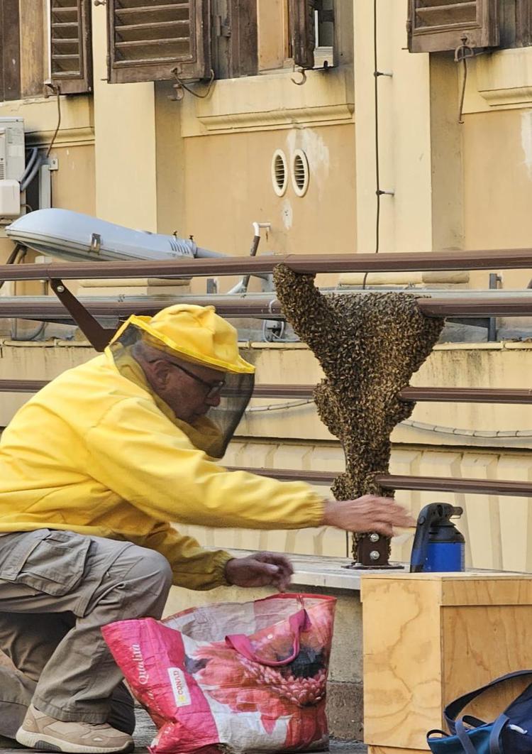 Un'immagine del recupero dell'apiario nel cortile del Mef