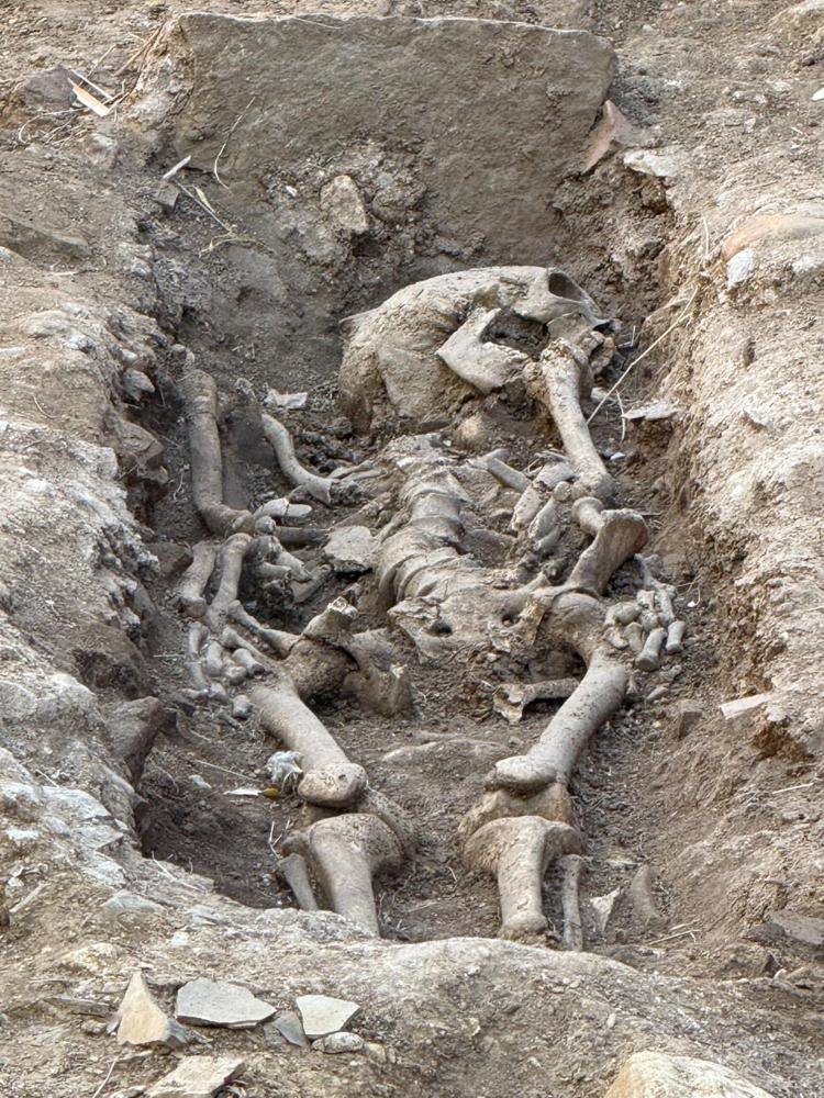 (ufficio stampa Comune di Barberino Tavarnelle)