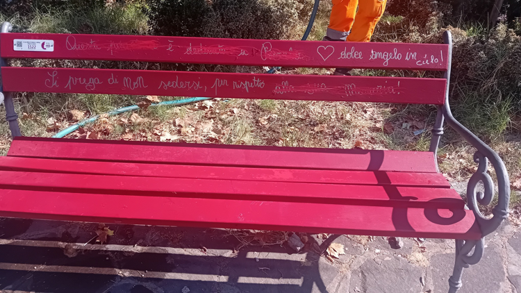 (Foto da profilo Fb Alessandra Verni)