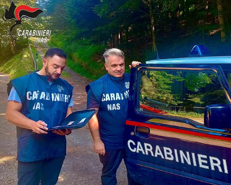 Controlli dei carabinieri dei Nas