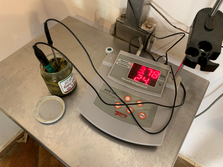 Botulino, Grillo (Turismo Verde-Cia): 