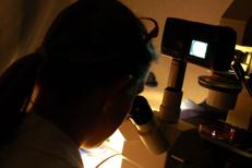 Laboratorio, repertorio (Afp)