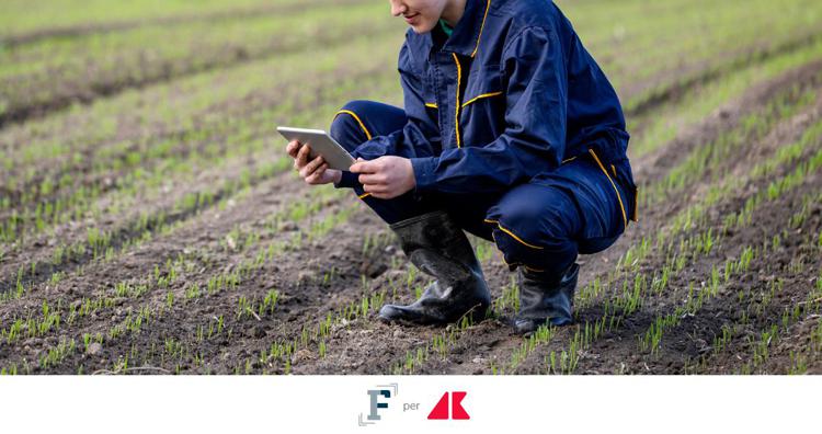 Bonus formazione per giovani agricoltori, come fare domanda? Le istruzioni