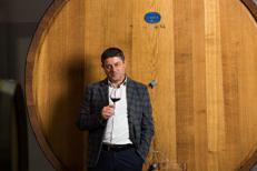 Vino, Perillo (Cantina di Venosa):