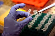 Un laboratorio (Fotogramma)