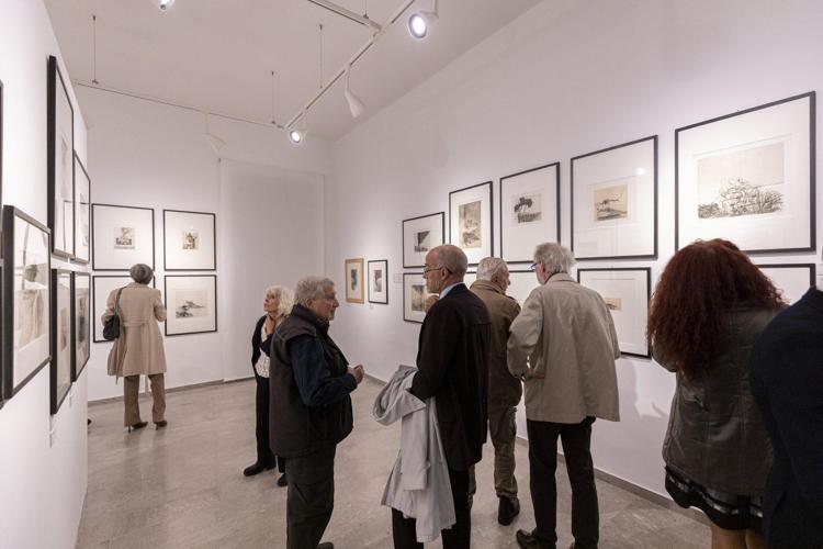 Riapre Galleria Spazzapan, due mostre su Zigaina e disegno italiano