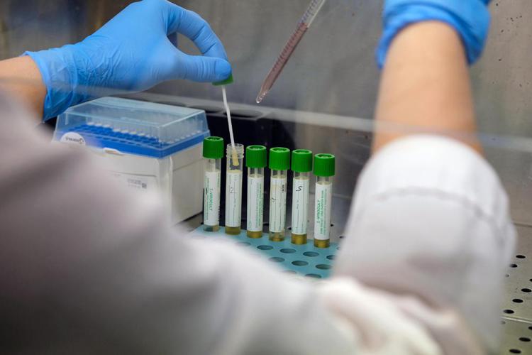 Un laboratorio (Fotogramma)
