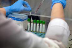 Un laboratorio (Fotogramma)