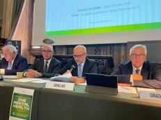 Schillaci: “Ottanta milioni per la salute mentale nella legge di bilancio”