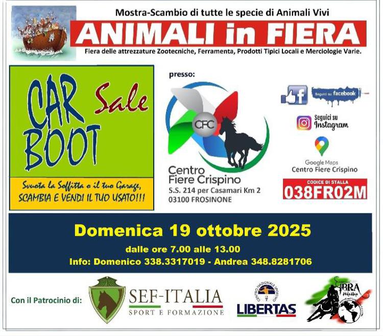 A Frosinone torna
