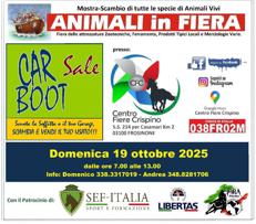 A Frosinone torna