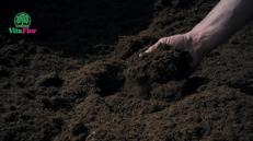 Vitaflor presenta “4 Life”, la nuova generazione di terricci sostenibili per orto, giardino e coltivazioni professionali