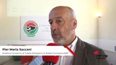 Made in Italy: Saccani (Consorzio di Tutela della Mozzarella di Bufala Campana DOP)