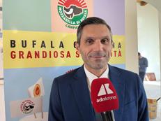 Diego Matricano, docente di Innovazione e Startup Dipartimento di Economia dell’Università Vanvitelli